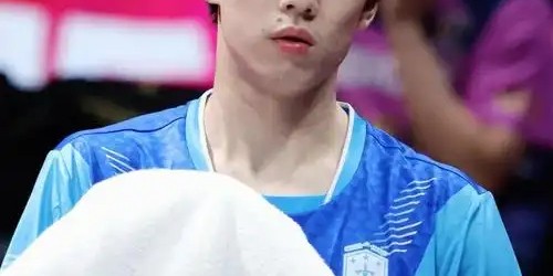 开云网站-正式退出，亮相广东，林高远官宣，新岗位曝光，任期2年|国乒|郝帅|林诗栋|王楚钦|马龙_新浪体育_新浪新闻